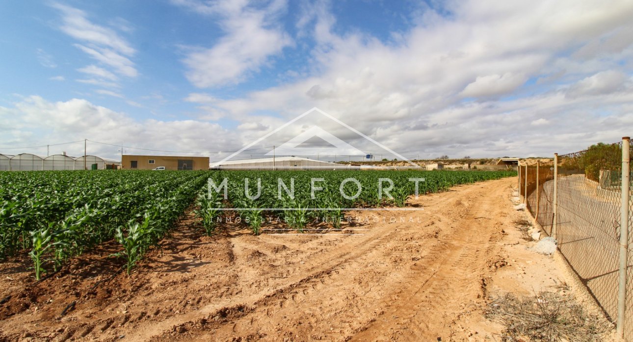 Segunda mano - Casas de campo -
San Pedro del Pinatar