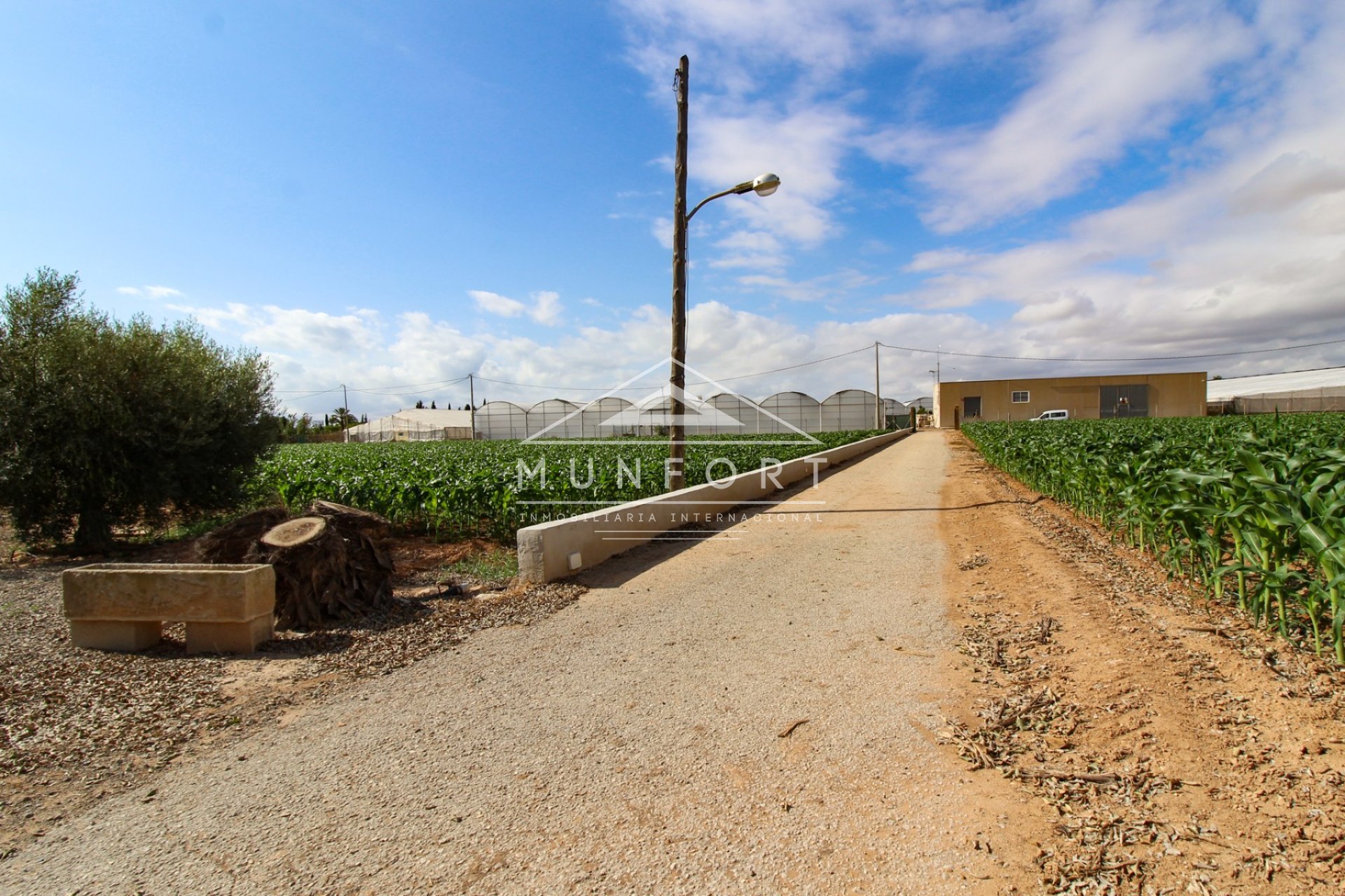 Segunda mano - Casas de campo -
San Pedro del Pinatar