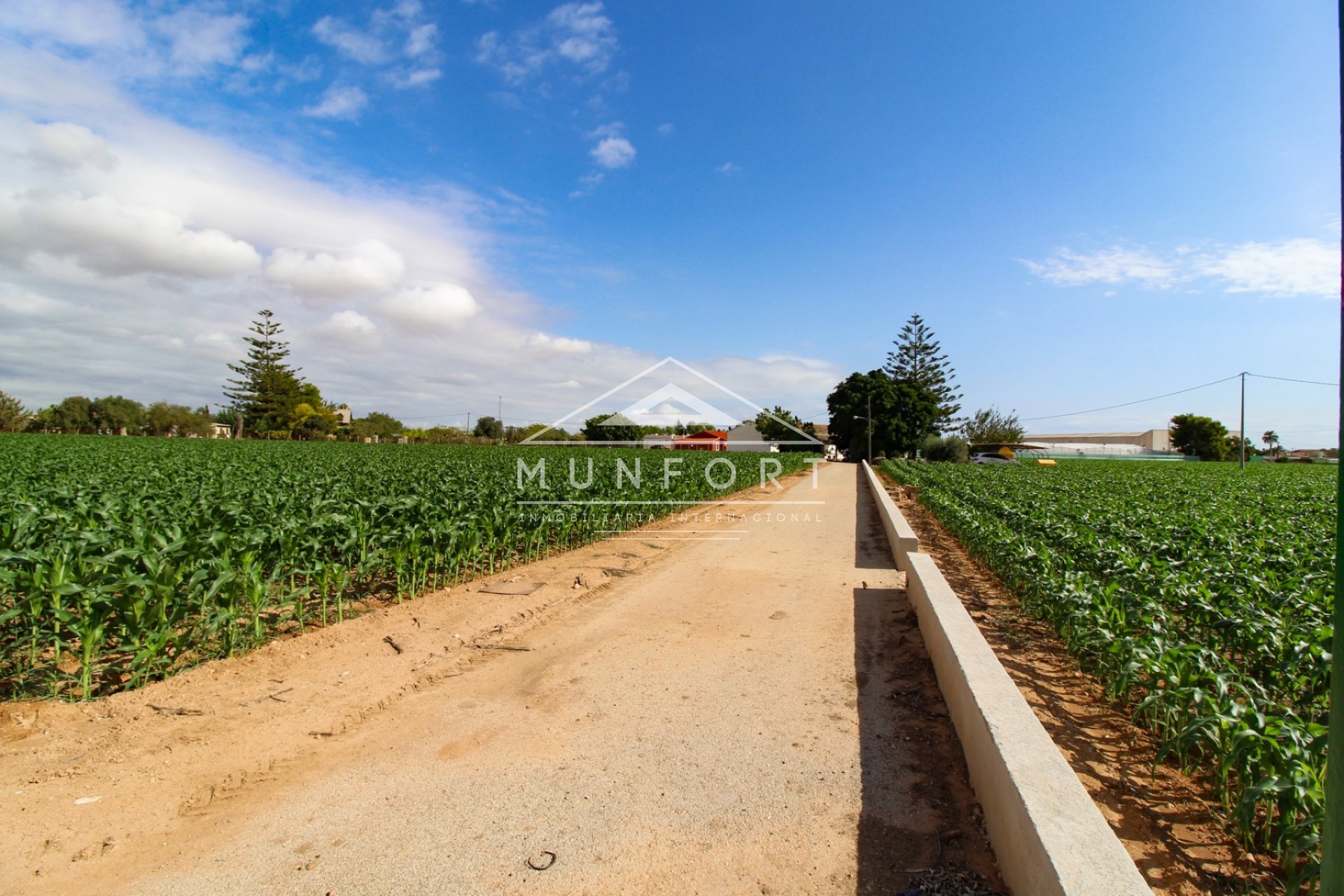 Segunda mano - Casas de campo -
San Pedro del Pinatar