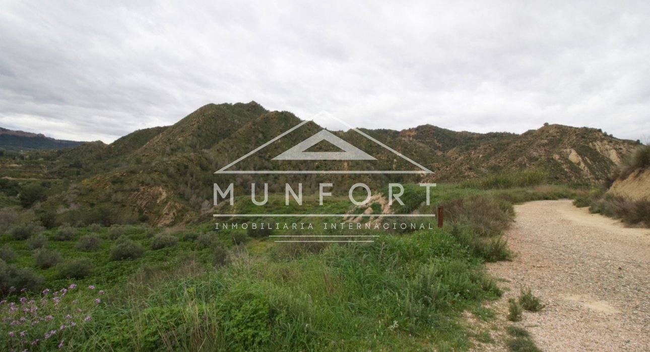 Segunda mano - Parcelas -
Murcia - GEA Y TRUYOLS