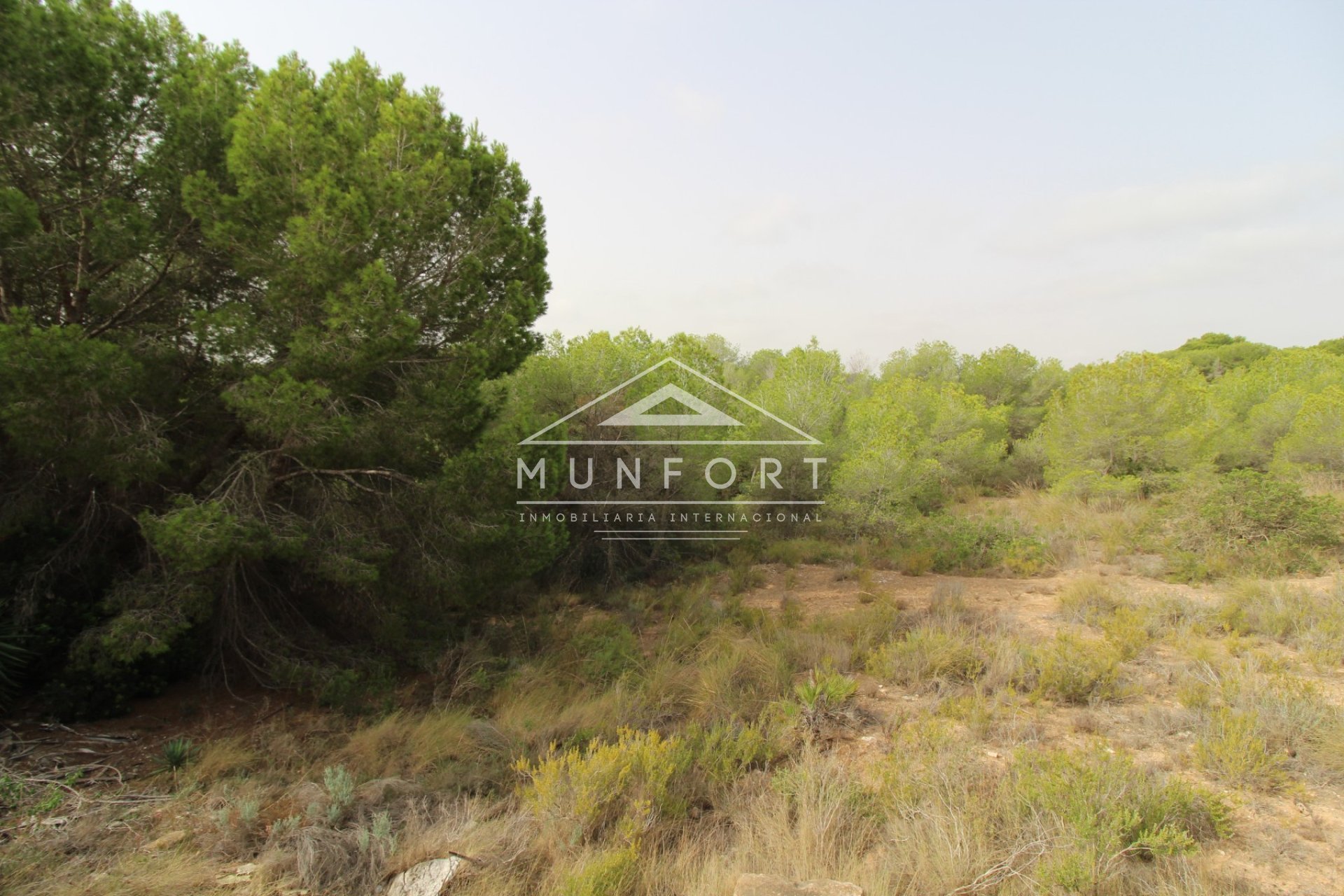 Segunda mano - Parcelas -
Pilar de la Horadada - Pinar de Campoverde