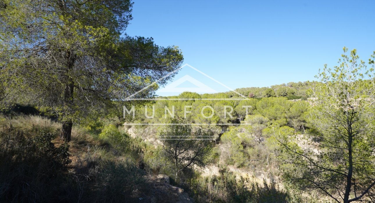 Segunda mano - Parcelas -
Pilar de la Horadada - Pinar de Campoverde