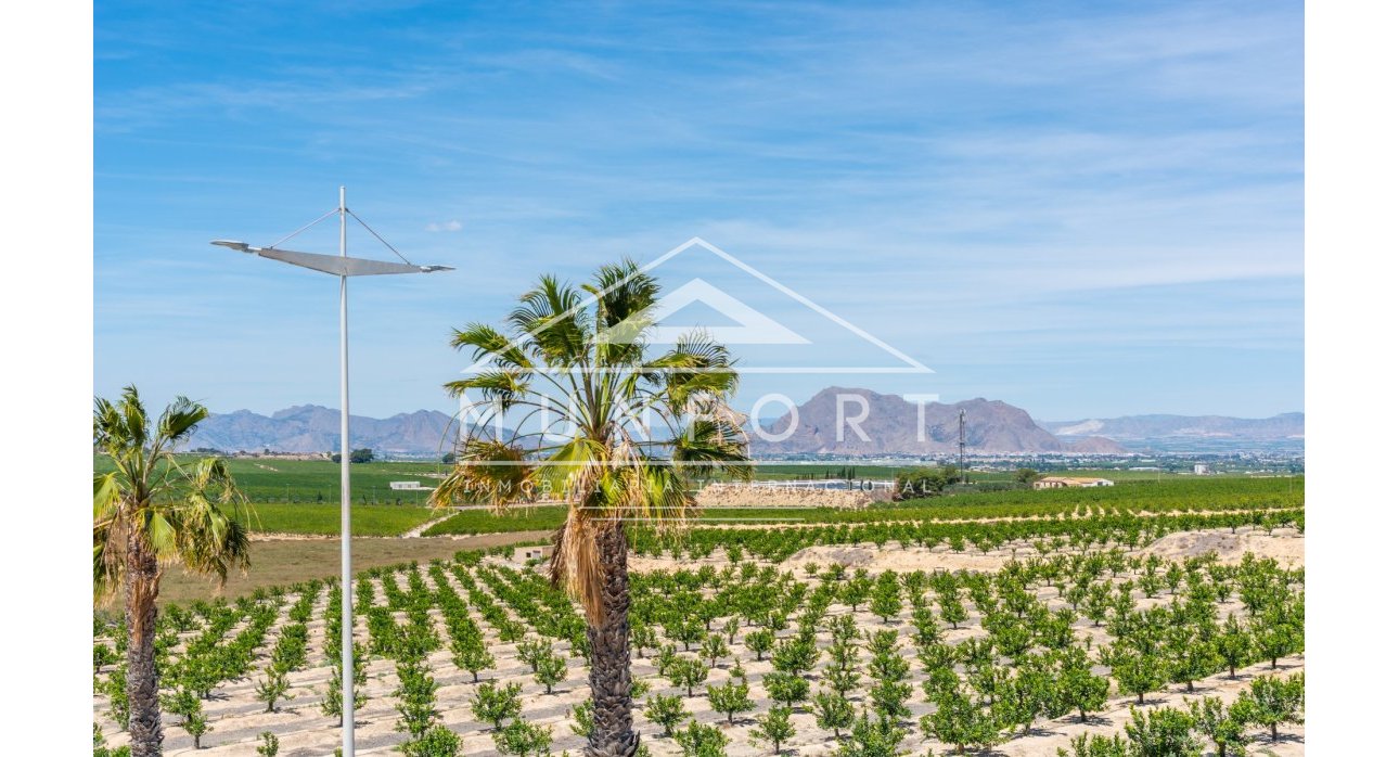 Segunda mano - Villas -
Algorfa