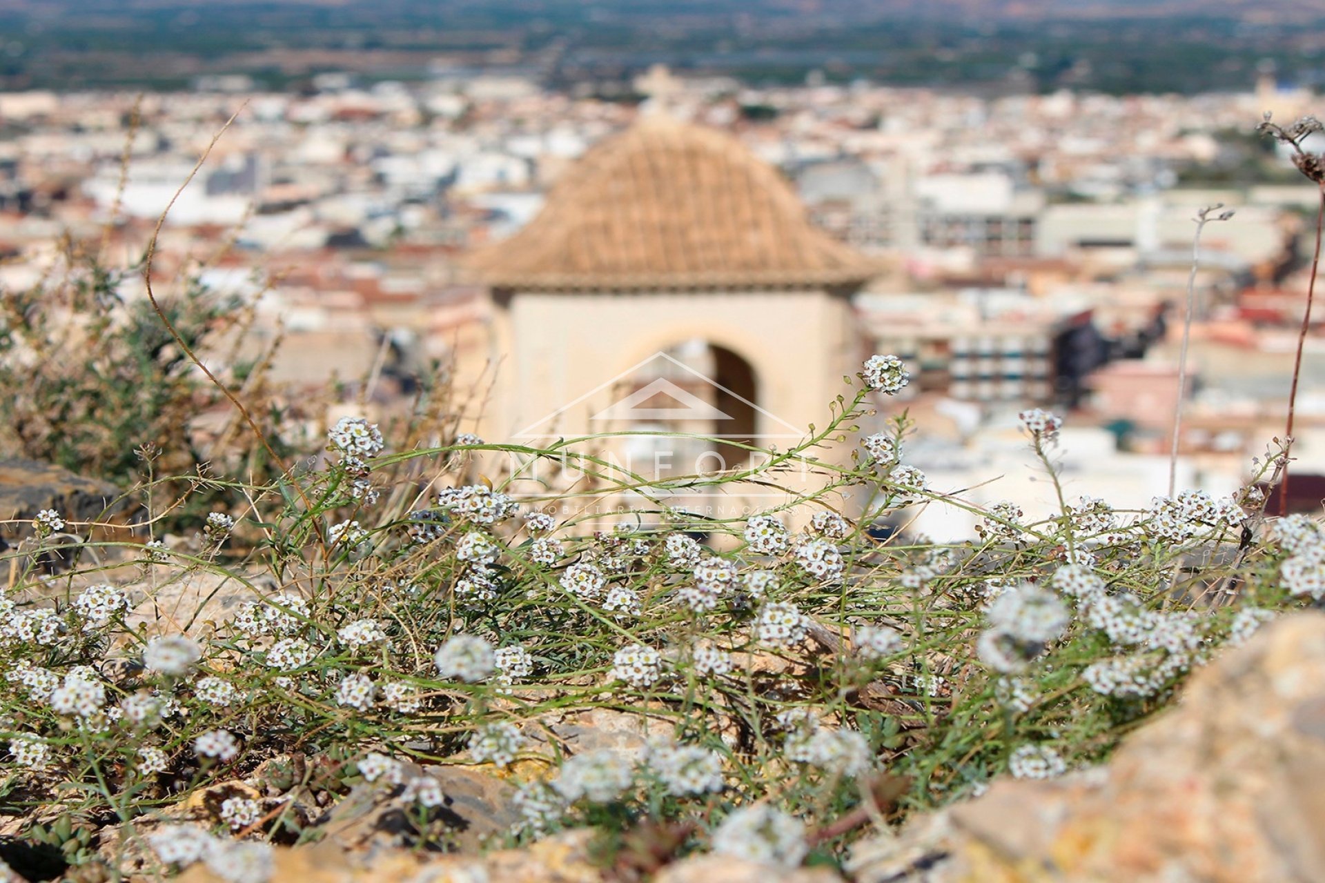 Segunda mano - Villas -
Cox