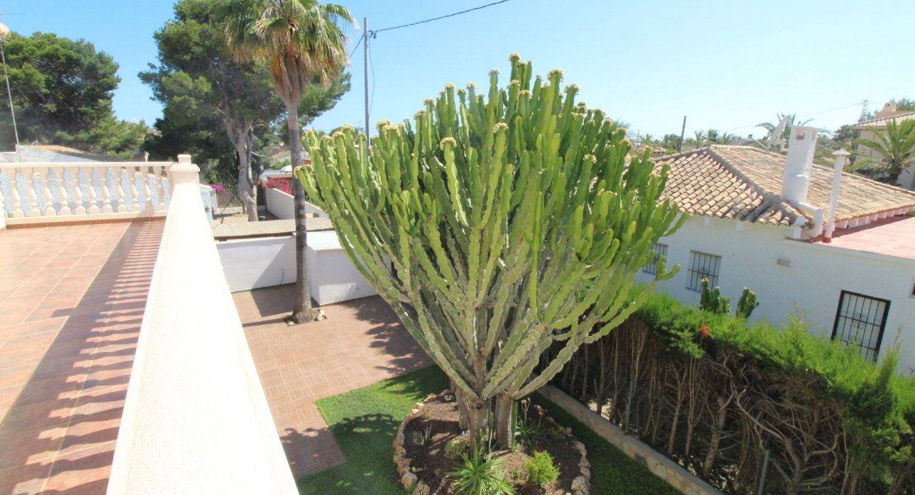 Segunda mano - Villas de lujo -
Orihuela Costa - Cabo Roig