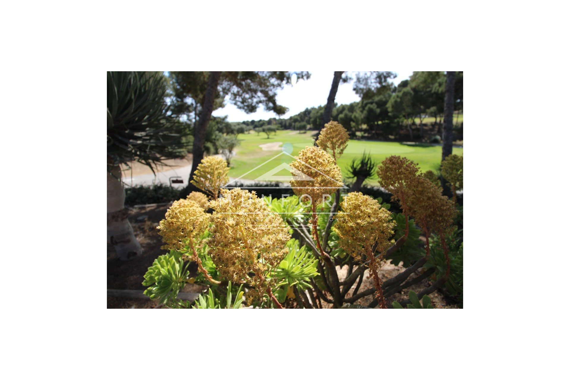 Segunda mano - Villas de lujo -
Orihuela Costa - Villamartín