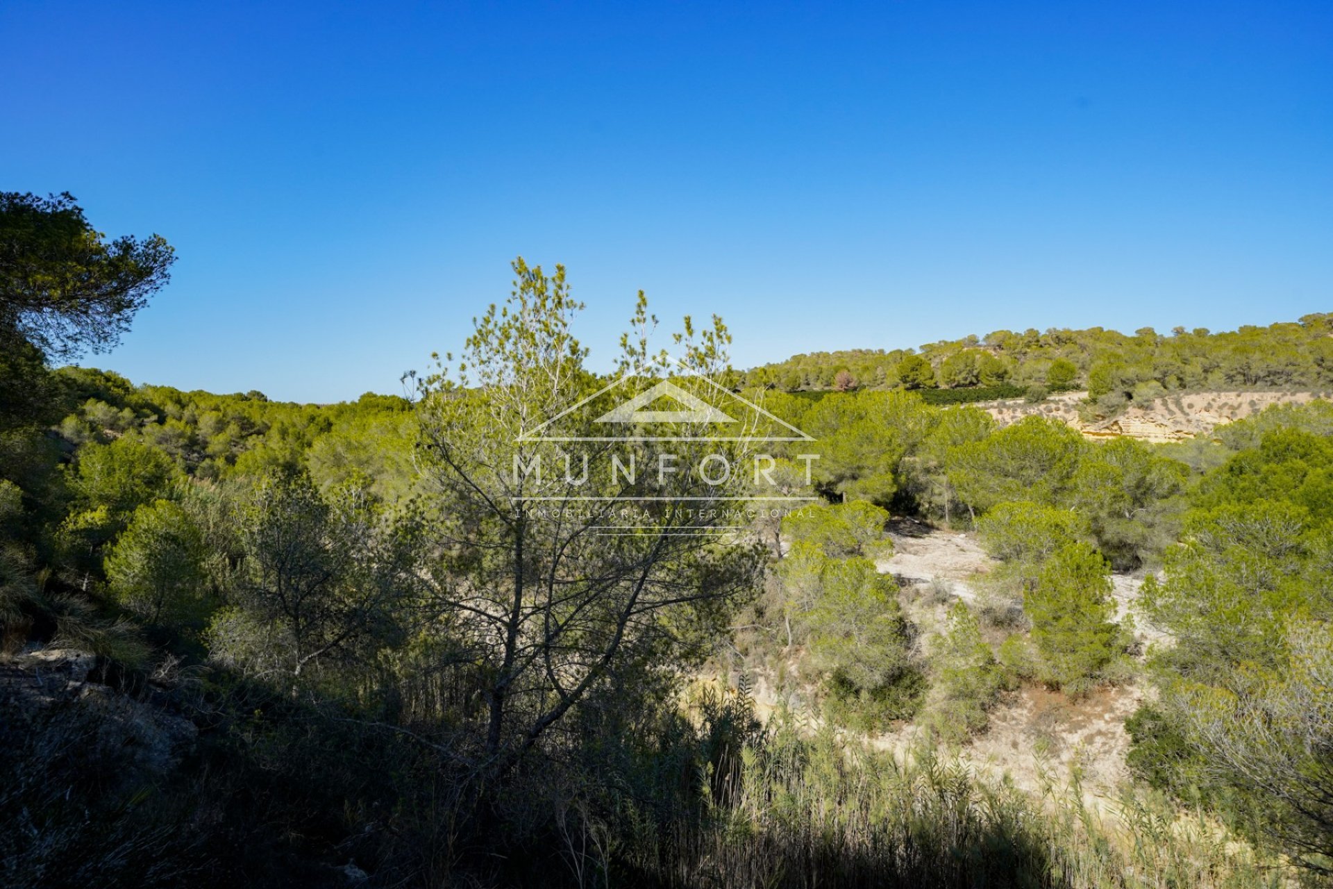 Segunda mano - Villas de lujo -
Pilar de la Horadada - Pinar de Campoverde