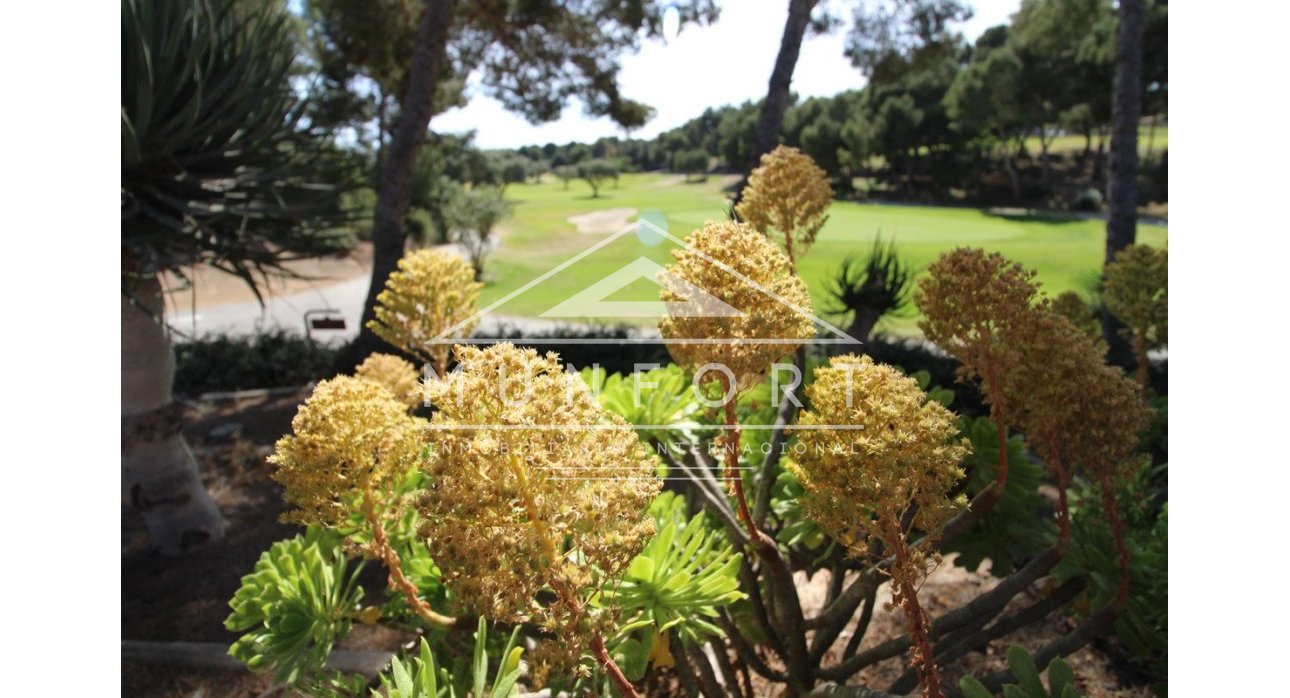 Segunda mano - Villas de lujo -
San Miguel de Salinas - Urbanización Blue Lagoon - San Miguel de Salinas