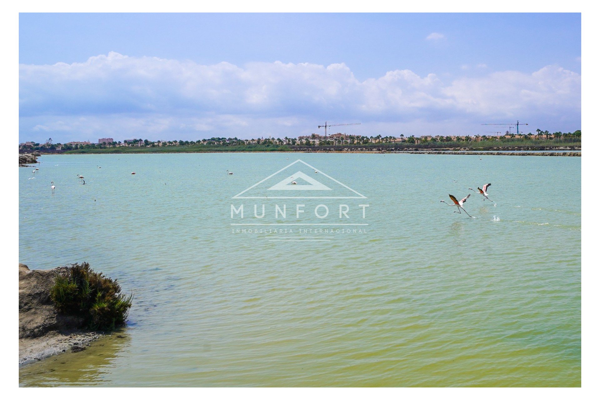 Segunda mano - Villas de lujo -
San Pedro del Pinatar