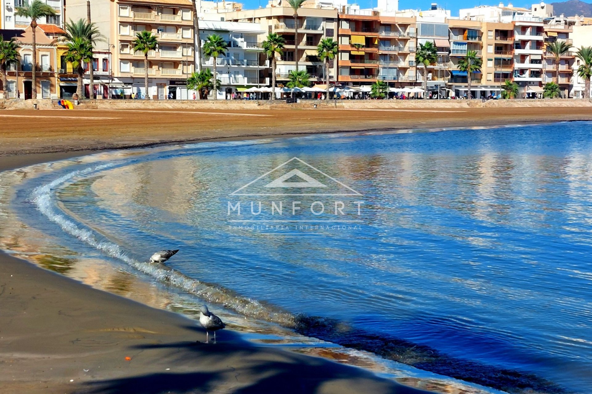 Segunda mano - Villas -
Fuente Álamo - La Pinilla