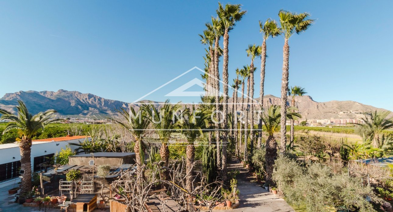 Segunda mano - Villas -
Orihuela