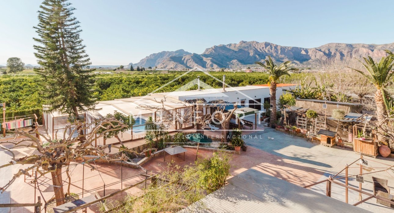 Segunda mano - Villas -
Orihuela