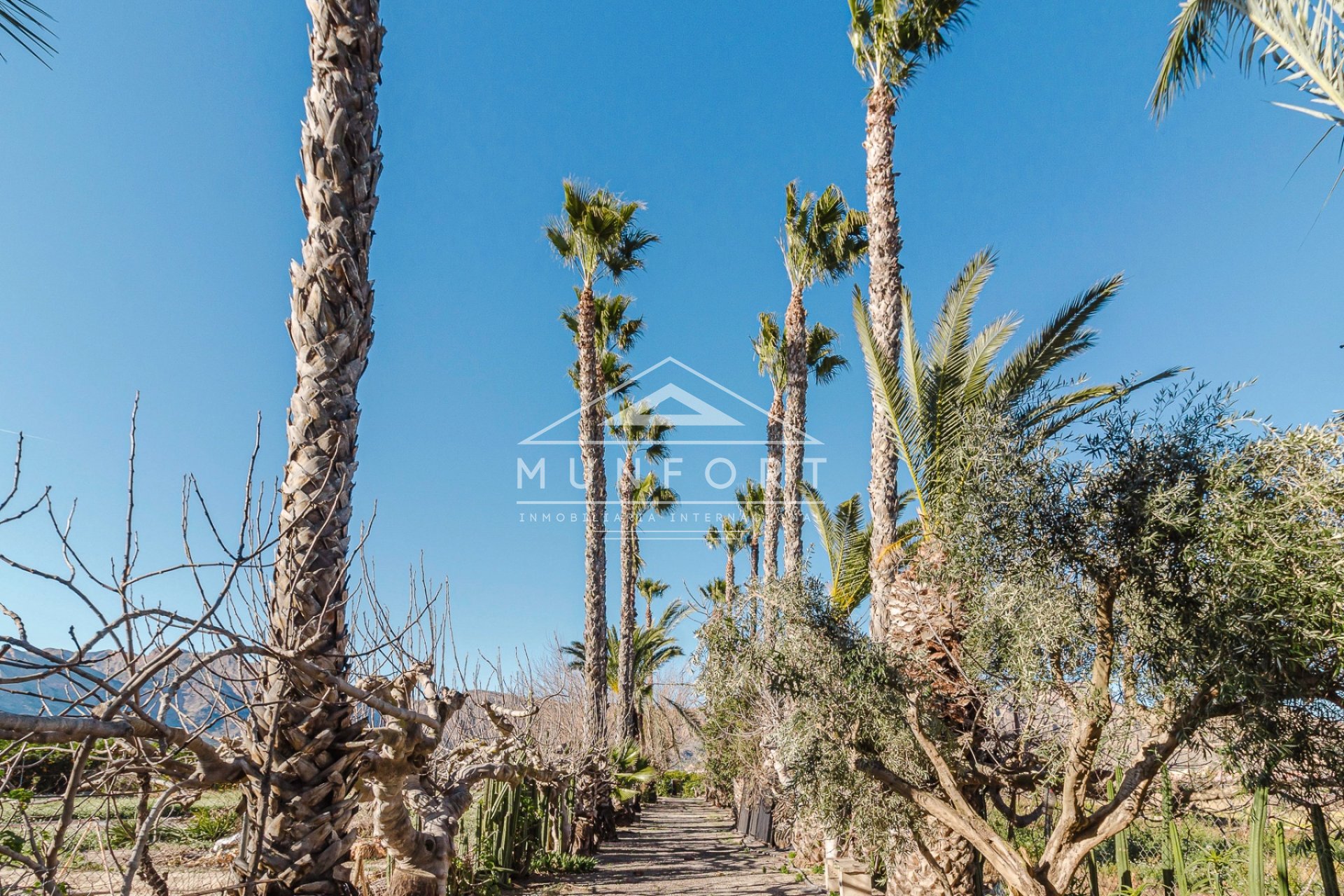 Segunda mano - Villas -
Orihuela