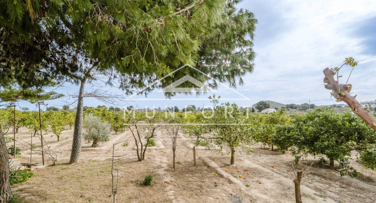 Segunda mano - Villas -
Rojales