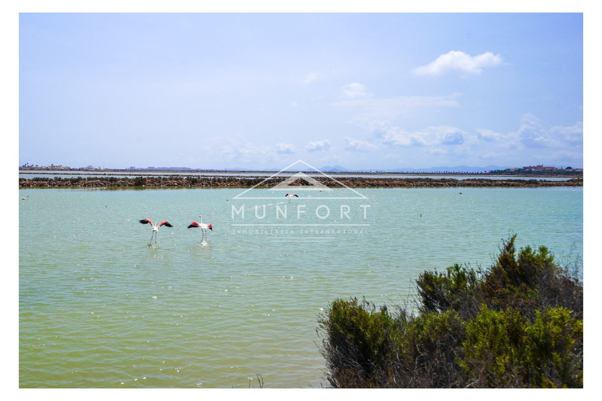 Segunda mano - Villas -
San Pedro del Pinatar