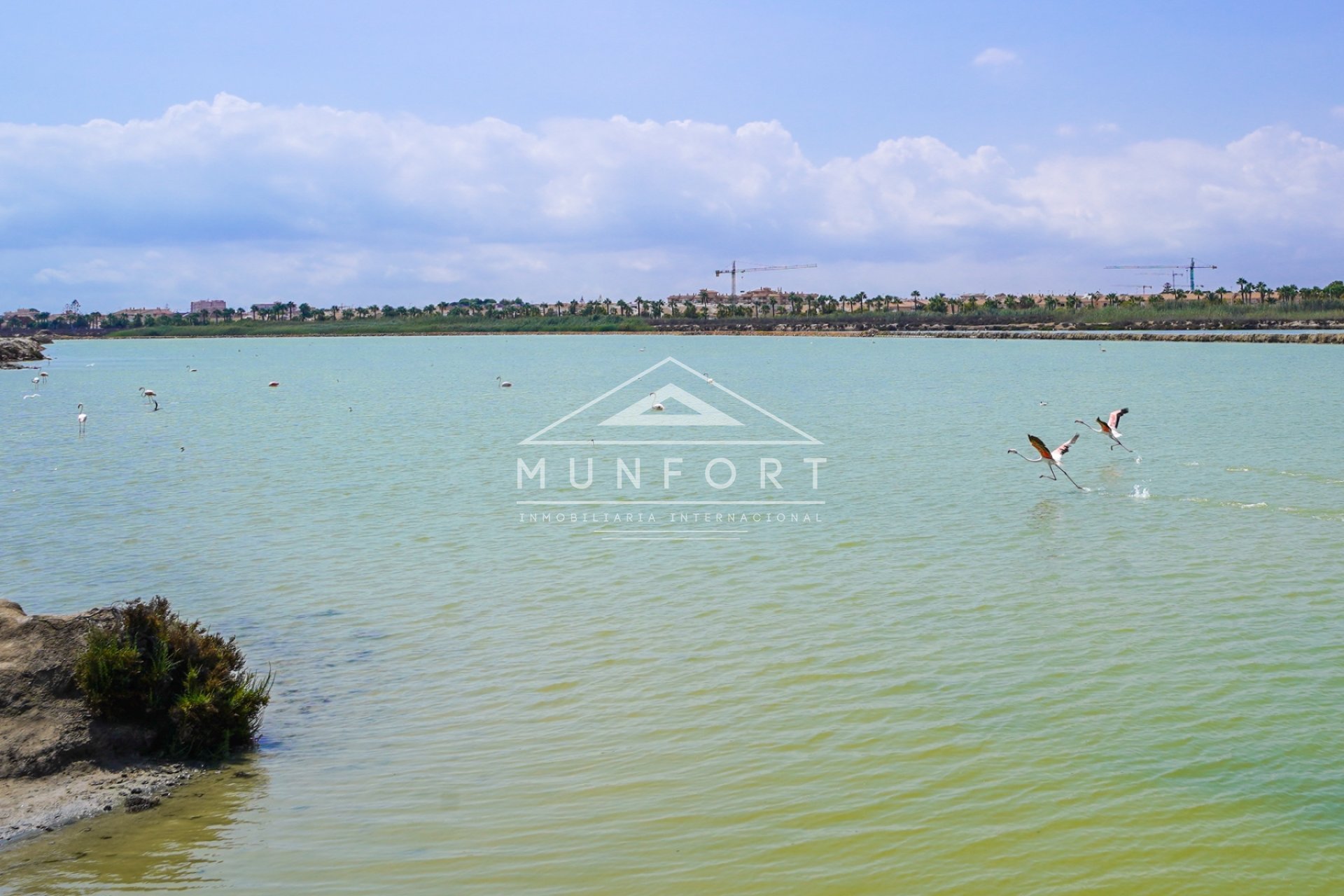 Segunda mano - Villas -
San Pedro del Pinatar