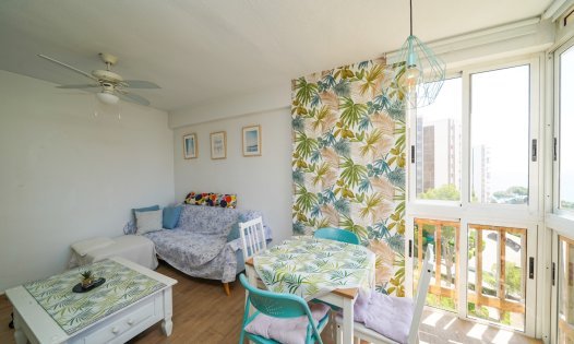 Studio apartments - Long Term Rental - Orihuela Costa - Dehesa de Campoamor