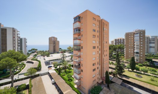 Studio appartementen - Lange Termijn Verhuur - Orihuela Costa -
                Dehesa de Campoamor