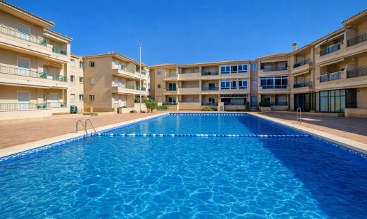 Studiowohnungen - Kurzzeit-Vermietung - Alcázares, Los - Los Narejos