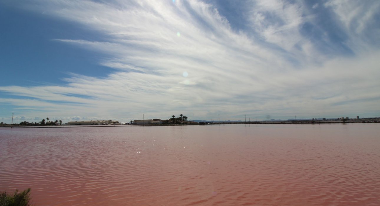 Videresalg - Flats -
San Pedro del Pinatar - Lo Pagán