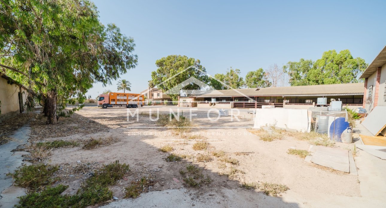 Videresalg - Landhus -
ALICANTE - Alicante