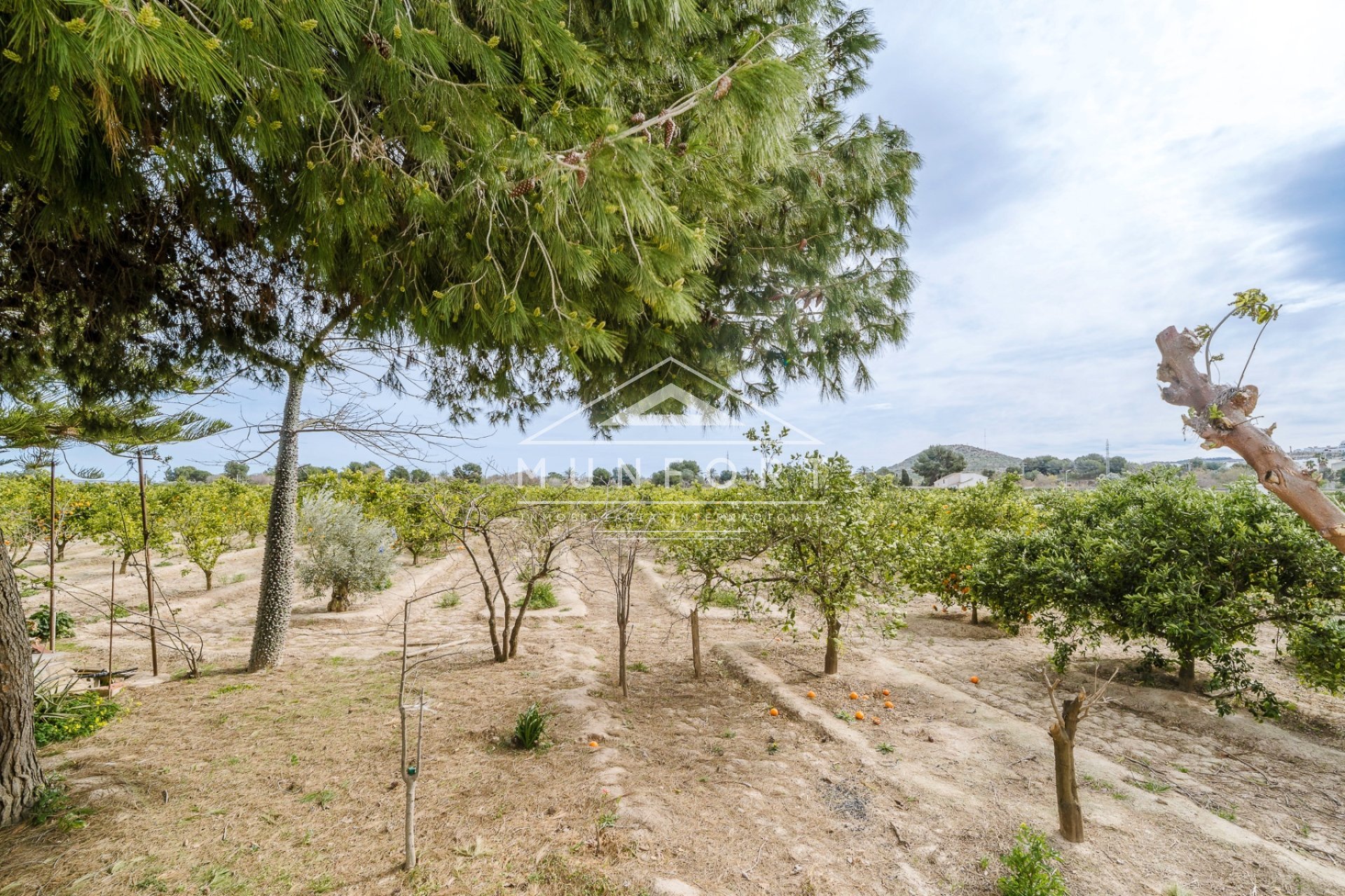 Videresalg - Villaer -
Rojales