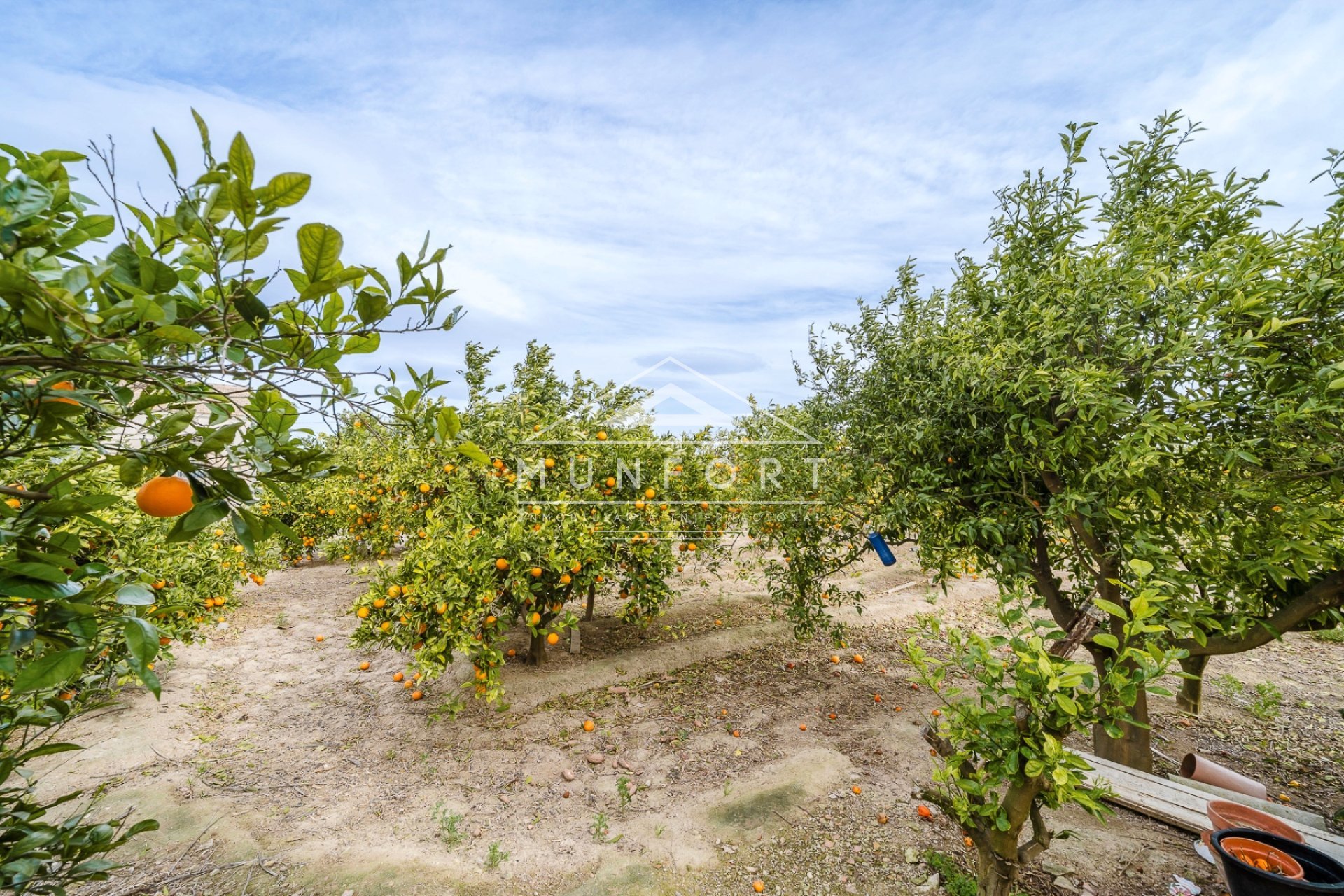 Videresalg - Villaer -
Rojales