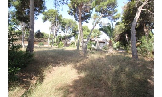 Villas - Resale - San Pedro del Pinatar -
                San Pedro del Pinatar