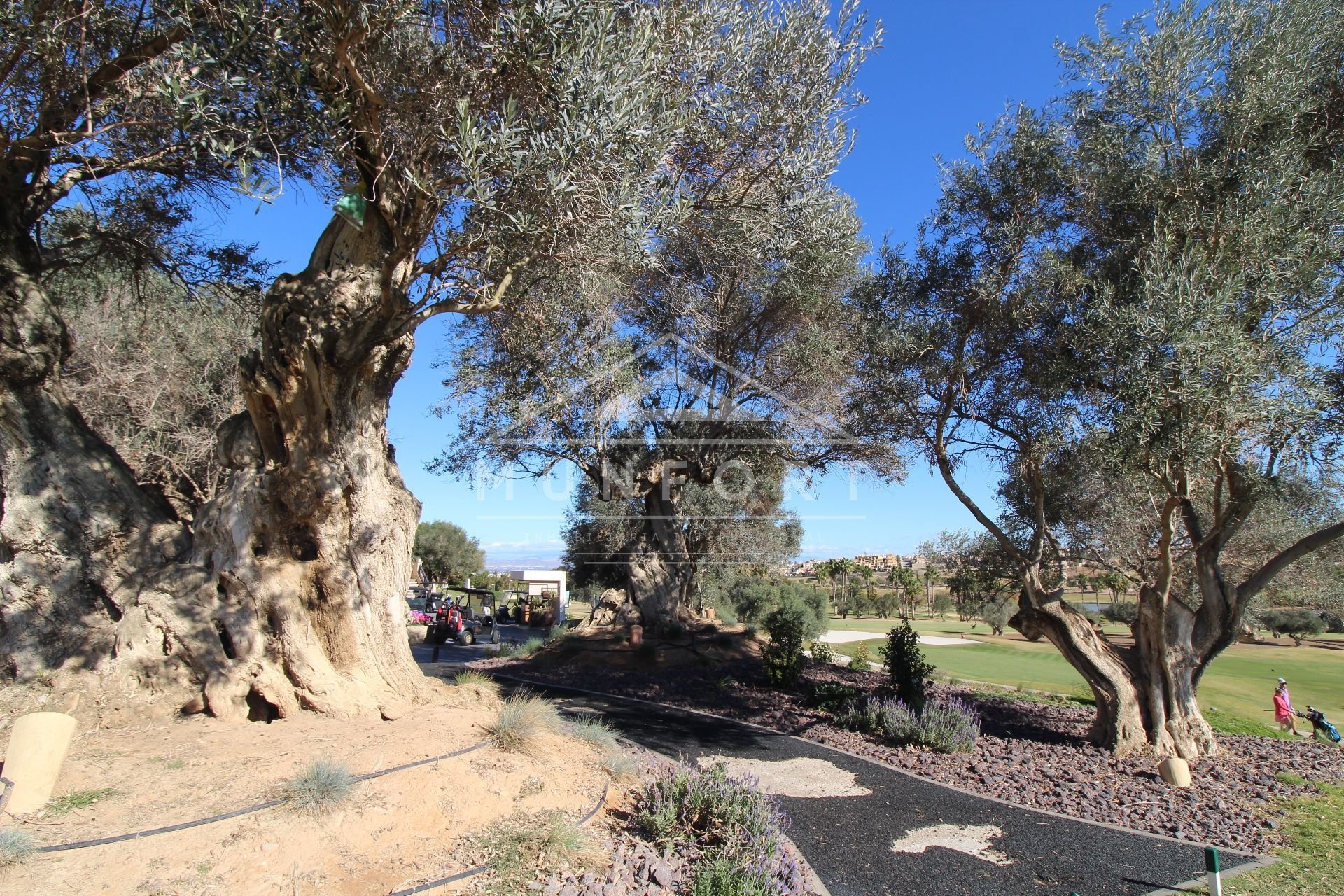 Wiederverkauf - Bungalows -
Algorfa - Club de Golf La Finca - Algorfa