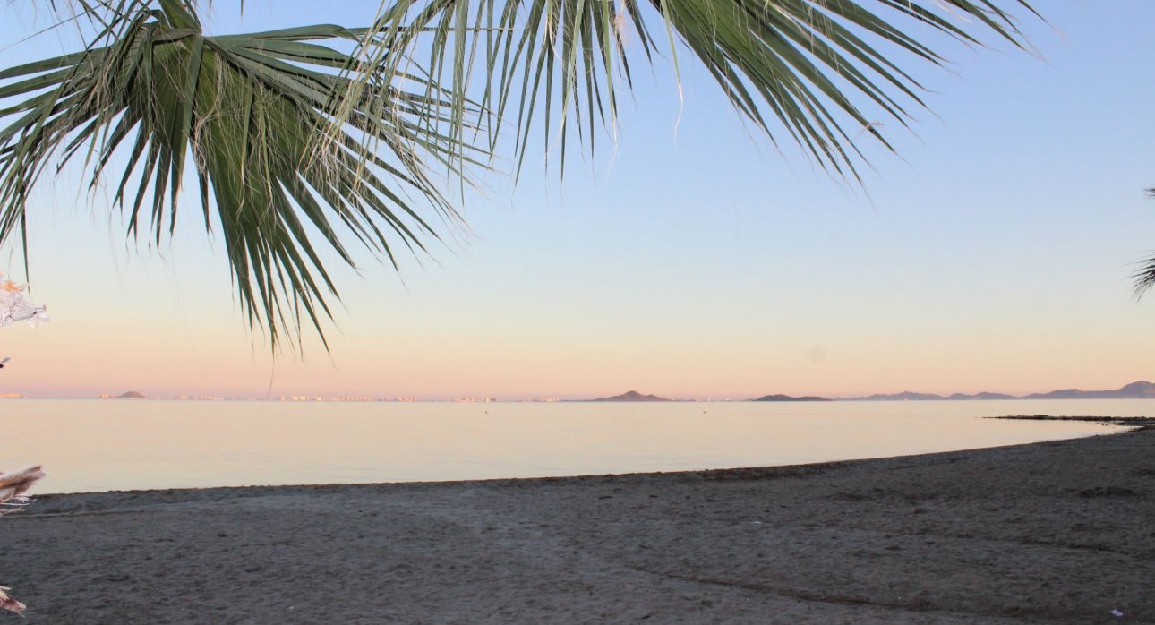 Wiederverkauf - Grundstücke -
Alcázares, Los - Los Alc&aacute;zares