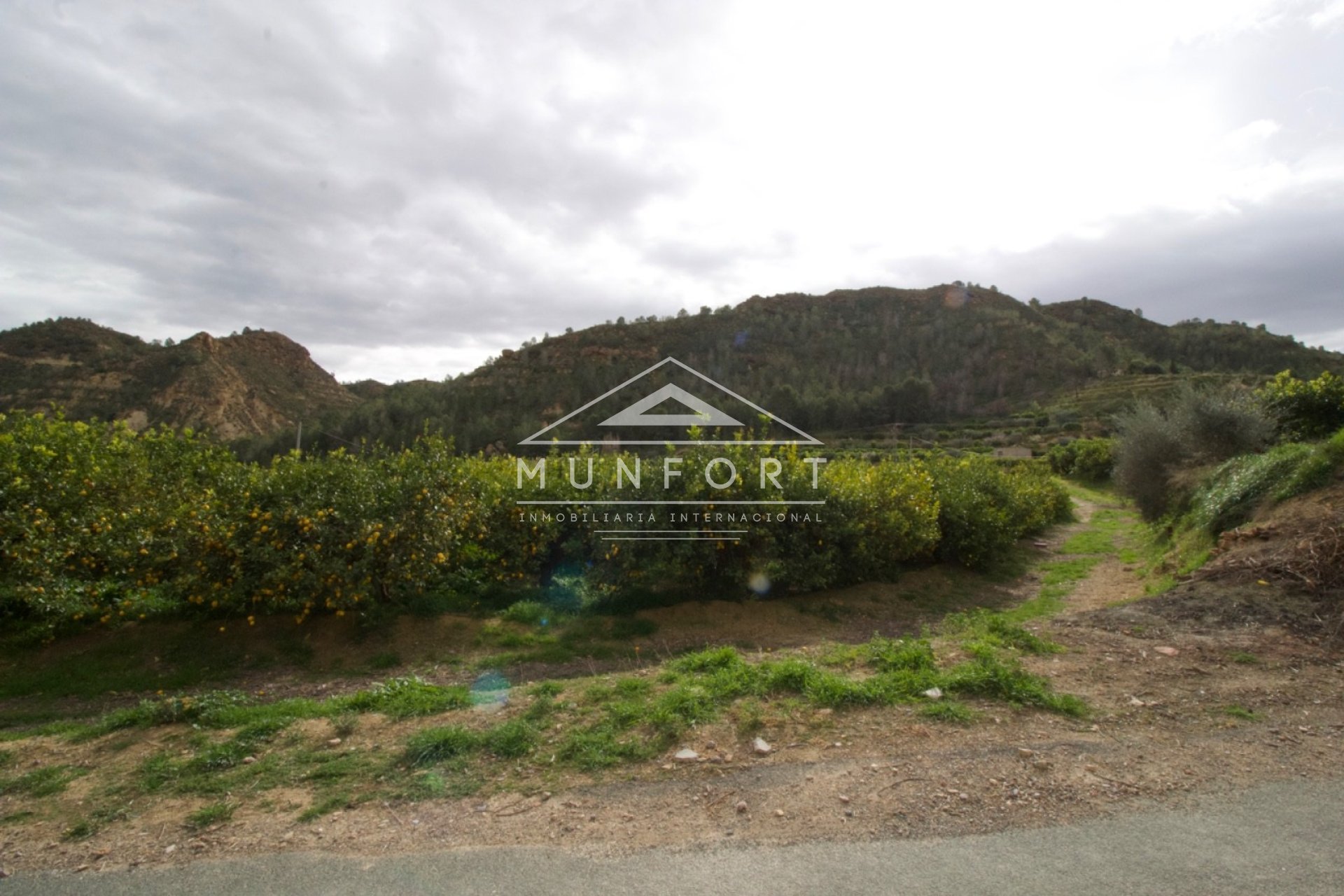 Wiederverkauf - Grundstücke -
Murcia - GEA Y TRUYOLS