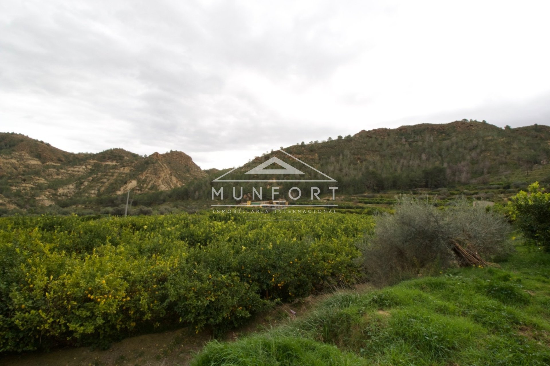 Wiederverkauf - Grundstücke -
Murcia - GEA Y TRUYOLS