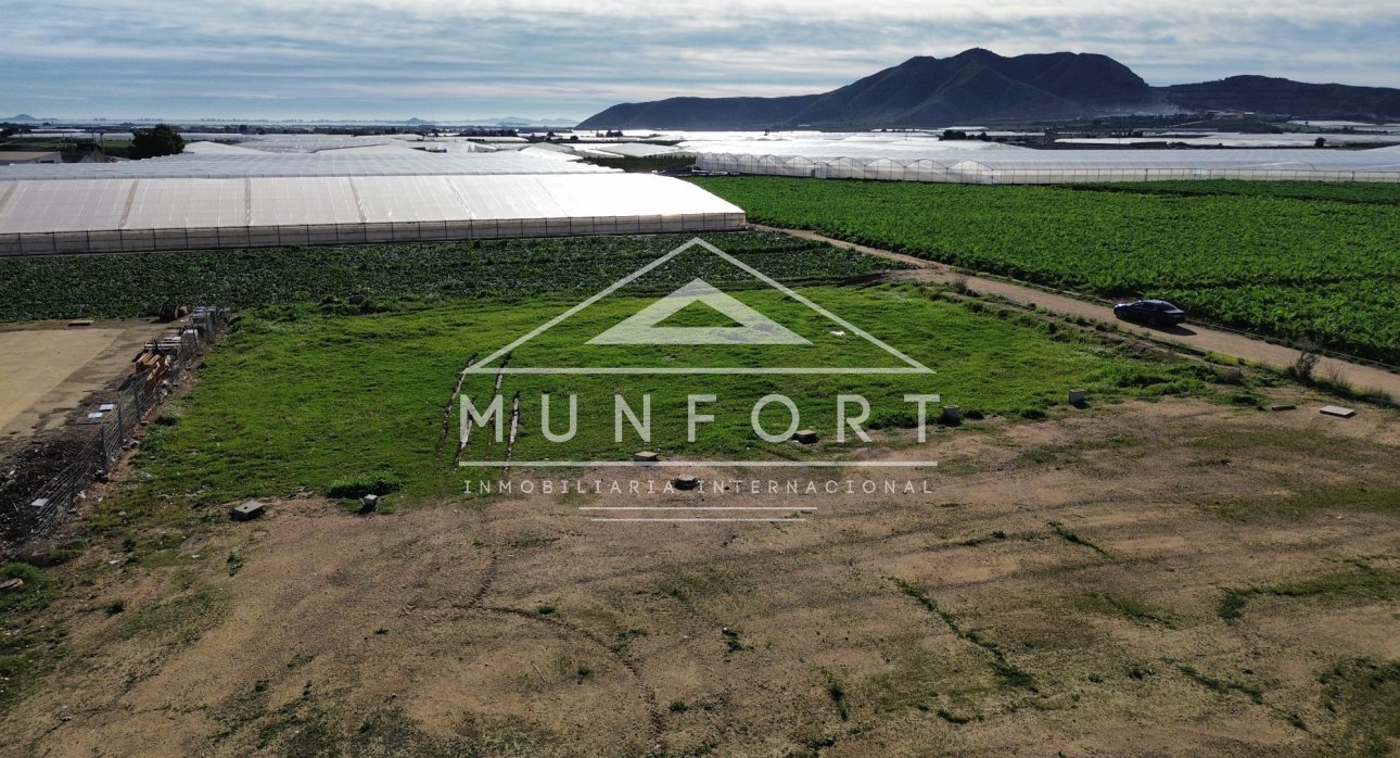 Wiederverkauf - Grundstücke -
Torre-Pacheco - SAN CAYETANO