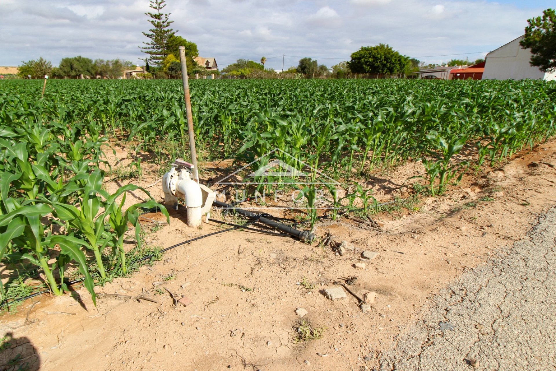 Wiederverkauf - Landhäuser -
San Pedro del Pinatar