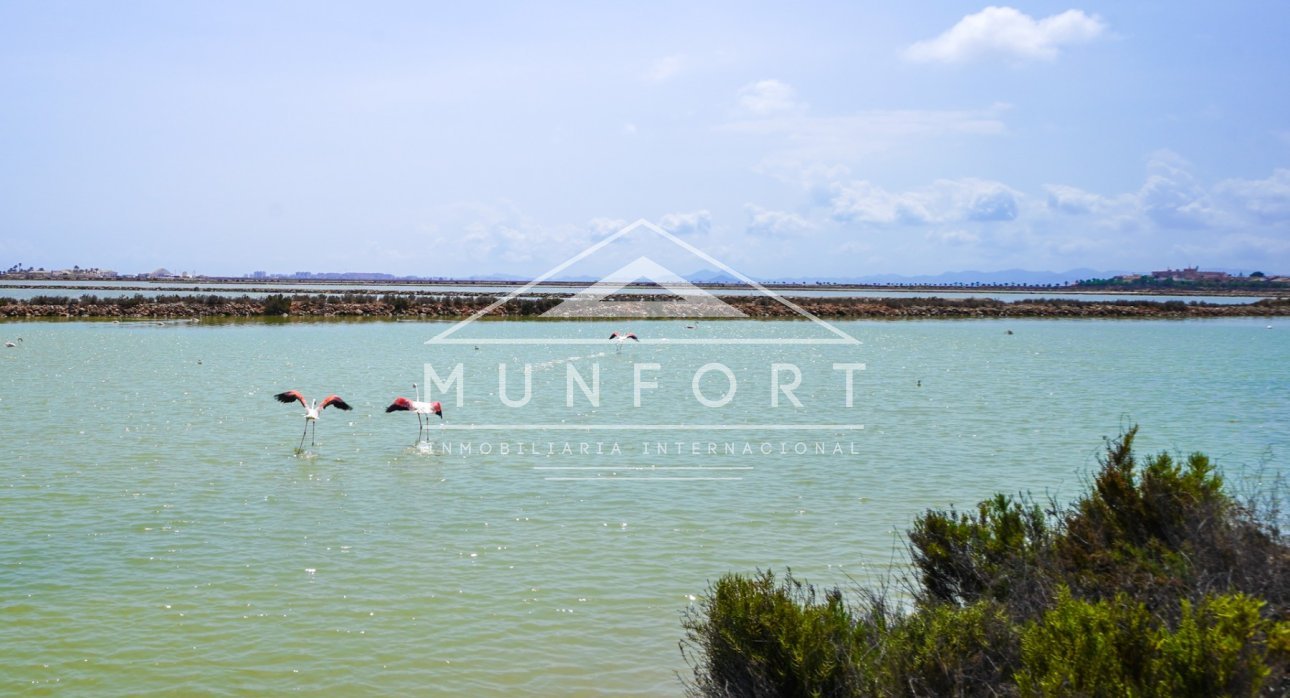 Wiederverkauf - Penthäuser -
San Pedro del Pinatar