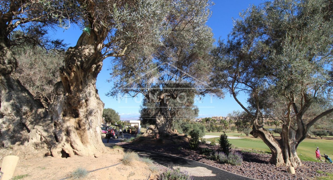 Wiederverkauf - Reihenhäuser -
Algorfa - Club de Golf La Finca