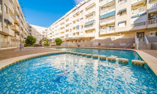 Wohnungen - Wiederverkauf -
            Torrevieja - AJ033