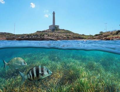 Costa Cálida: A Mediterranean Paradise