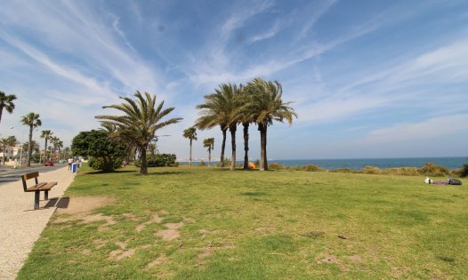 Segunda mano - Bungalows -
Torrevieja - La Veleta