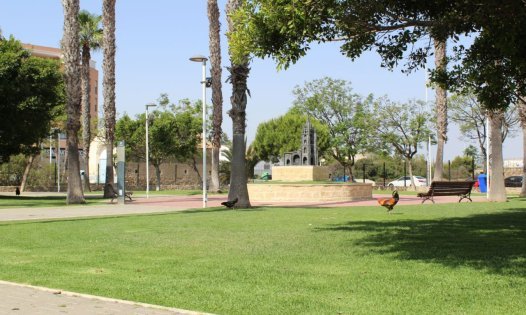 Resale - Penthouses -
Torrevieja - Centro - Torrevieja