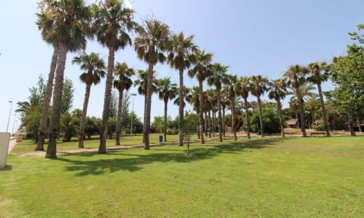 Resale - Penthouses -
Torrevieja - Centro - Torrevieja
