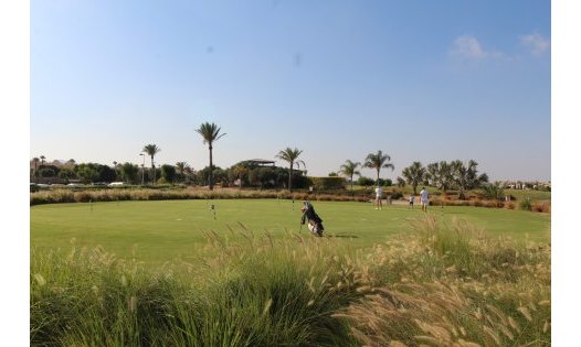 Segunda mano - Áticos -
San Javier - Roda Golf Resort