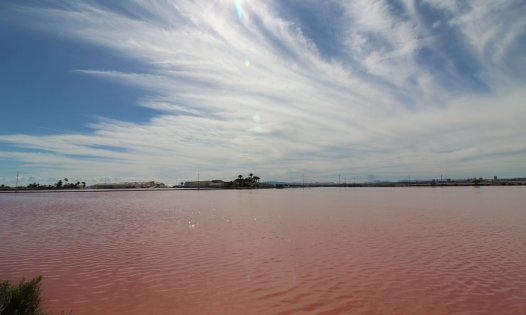 Videresalg - Leiligheter -
San Pedro del Pinatar - Lo Pagán