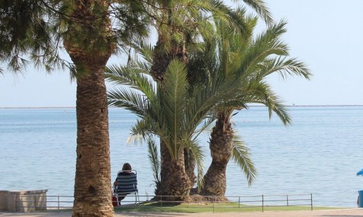 Segunda mano - Apartamentos -
San Javier