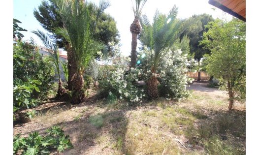 Resale - Plots -
San Pedro del Pinatar