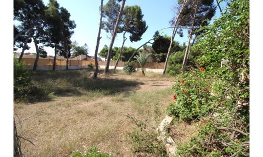 Resale - Plots -
San Pedro del Pinatar