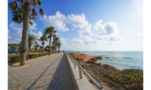 Herverkoop - Bungalows -
Pilar de la Horadada - Torre de la Horadada