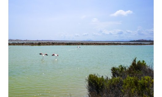 Videresalg - Luksusvillaer -
San Pedro del Pinatar