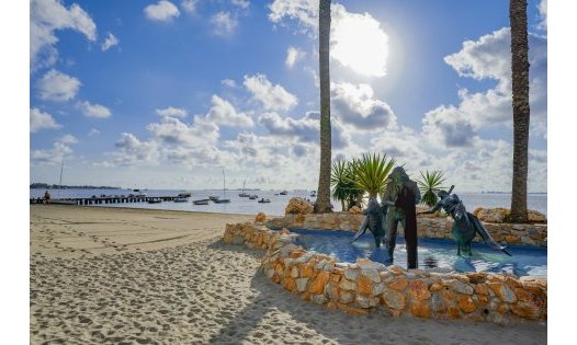 Segunda mano - Bungalows -
Alcázares, Los - Los Narejos