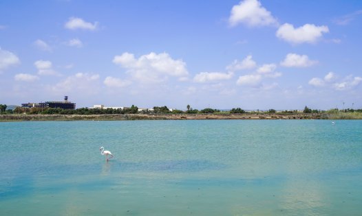 Segunda mano - Bungalows -
San Pedro del Pinatar